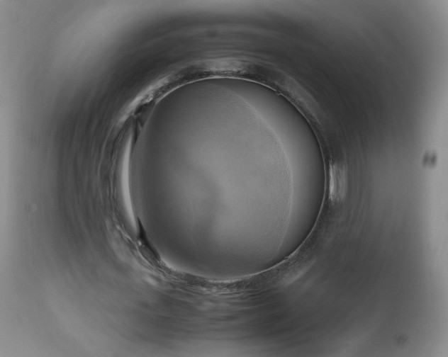 X0000112970723200909031045