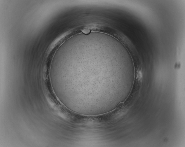 X0000112970724200909031045