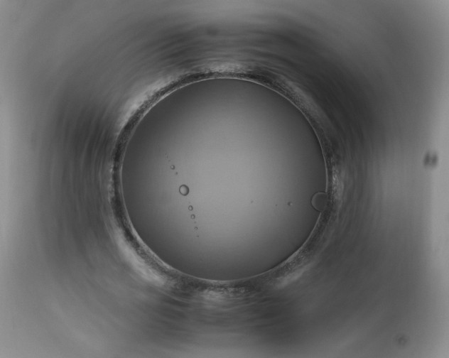 X0000112970725200909031045