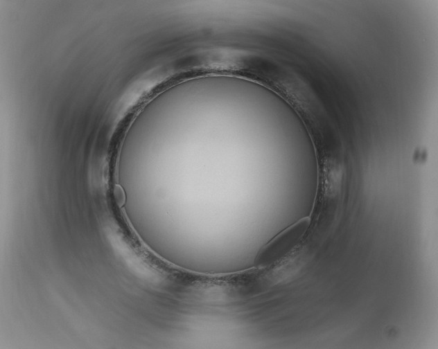 X0000112970726200909031045