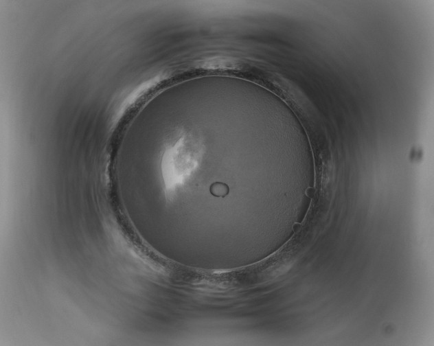 X0000112970727200909031045