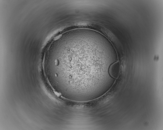 X0000112970728200909031045