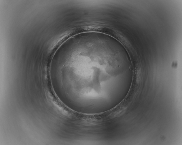 X0000112970729200909031045