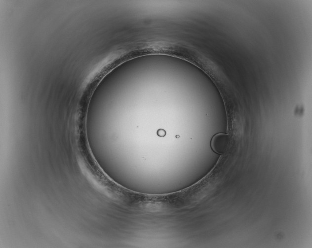 X0000112970730200909031045