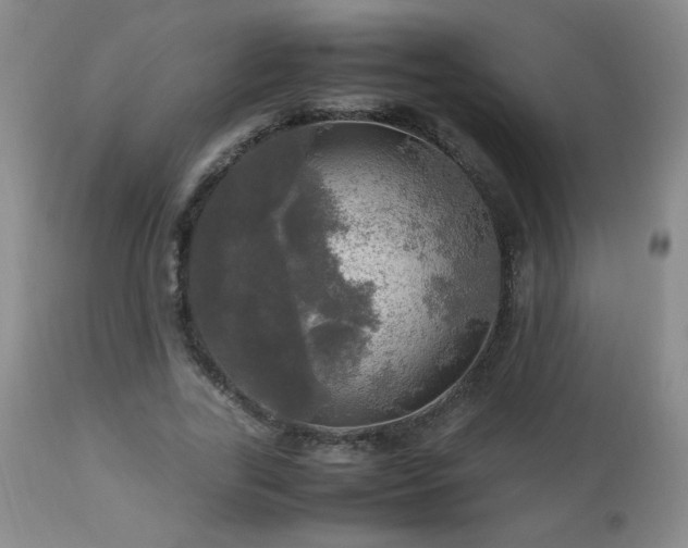 X0000112970731200909031045