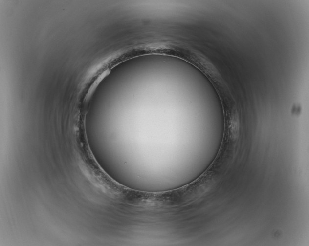 X0000112970732200909031045