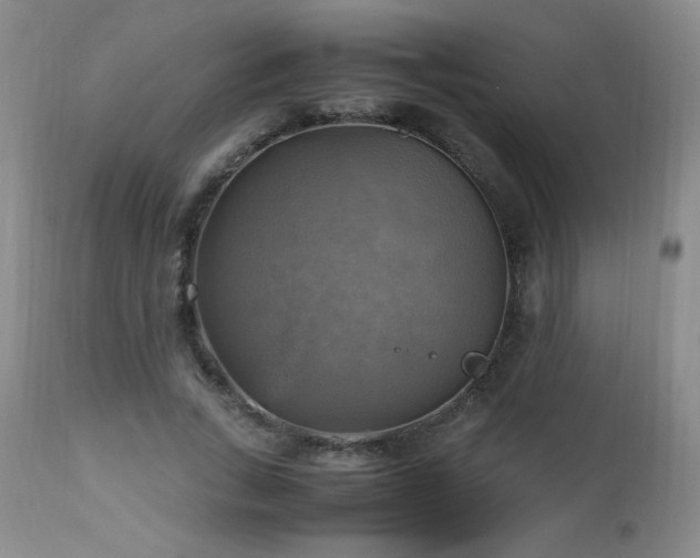 X0000112970735200909031045