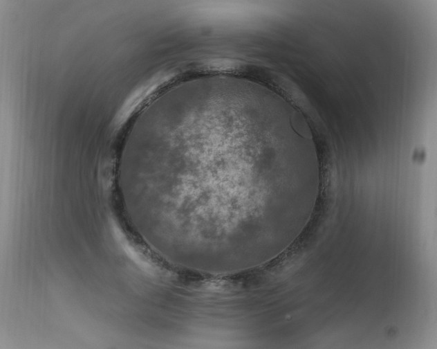 X0000112970736200909031045