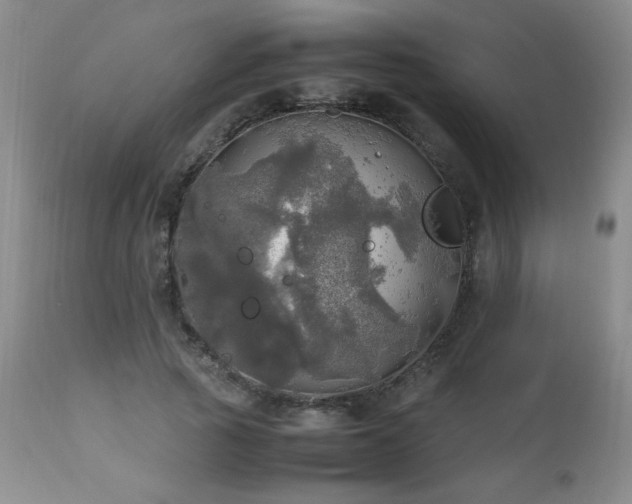 X0000112970737200909031045