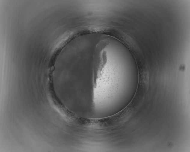 X0000112970738200909031045