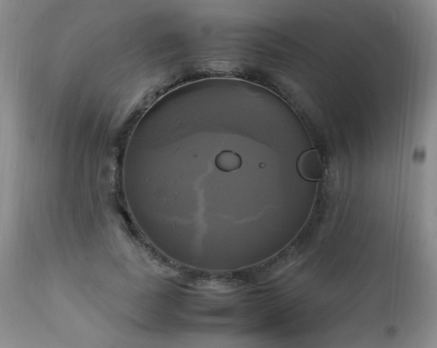 X0000112970739200909031045