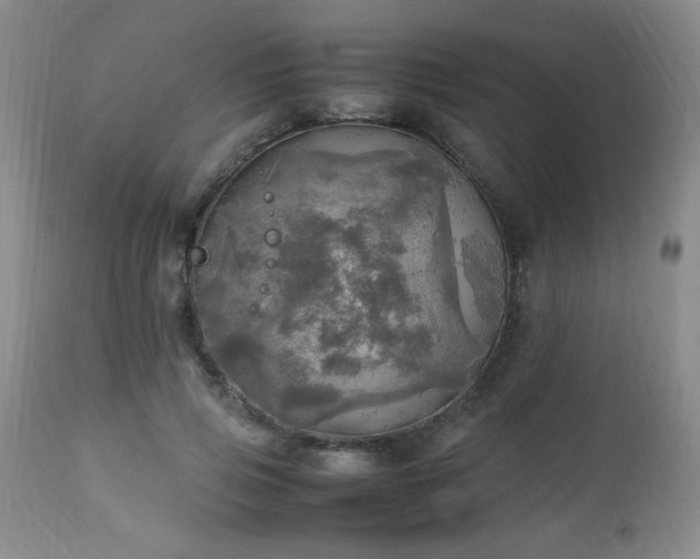 X0000112970741200909031045