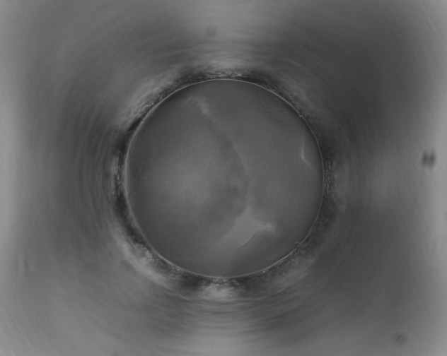 X0000112970742200909031045