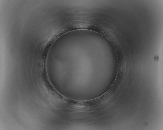 X0000112970743200909031045