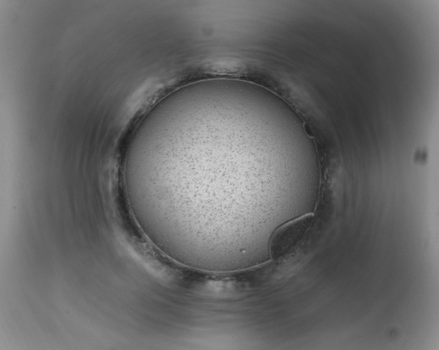 X0000112970744200909031045