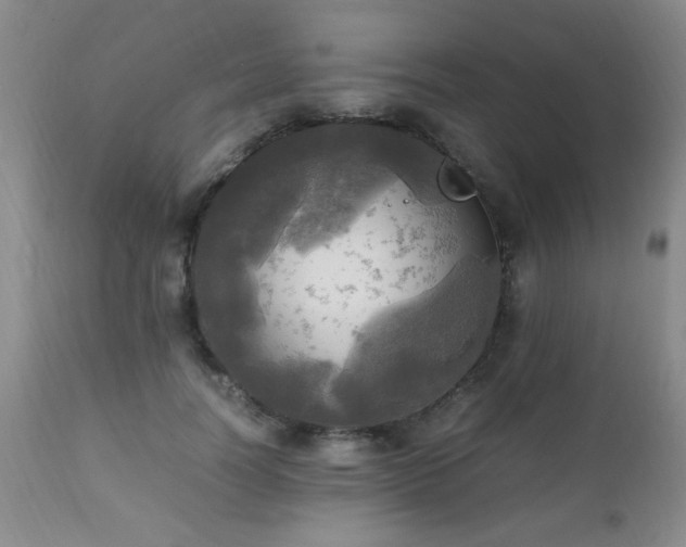 X0000112970746200909031045