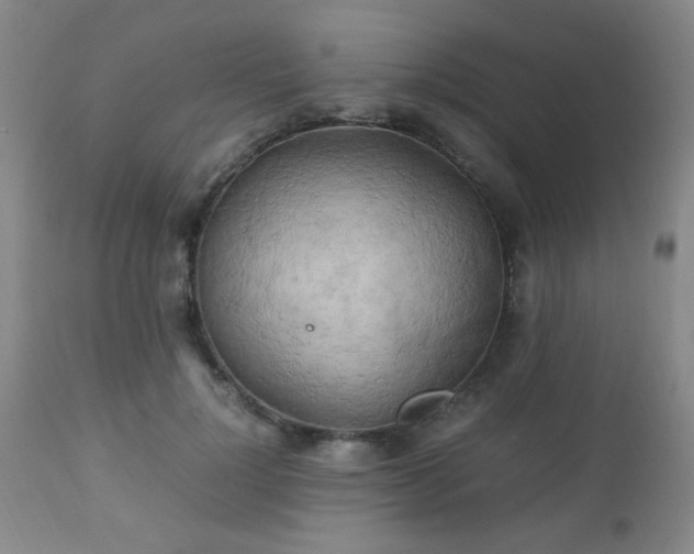 X0000112970748200909031045