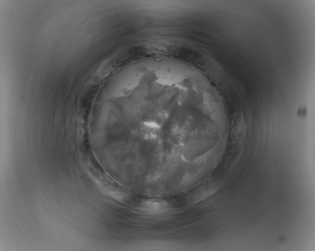 X0000112970749200909031045