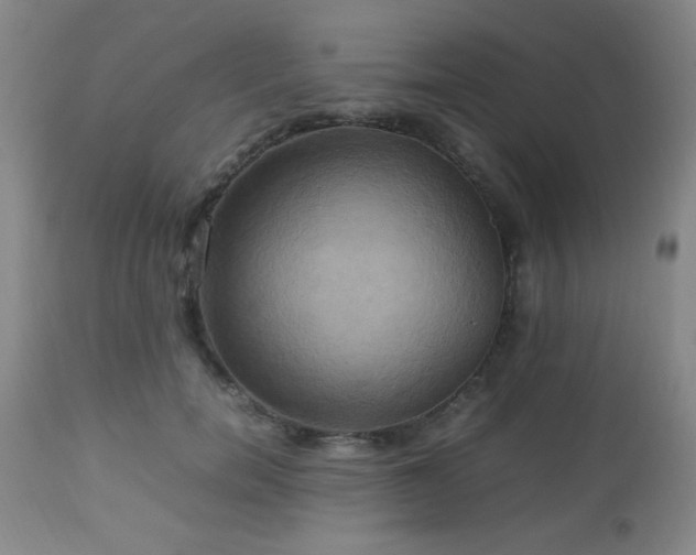 X0000112970750200909031045