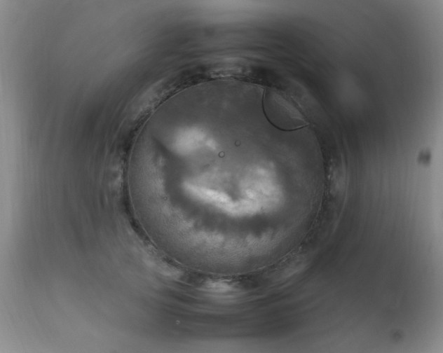 X0000112970753200909031045