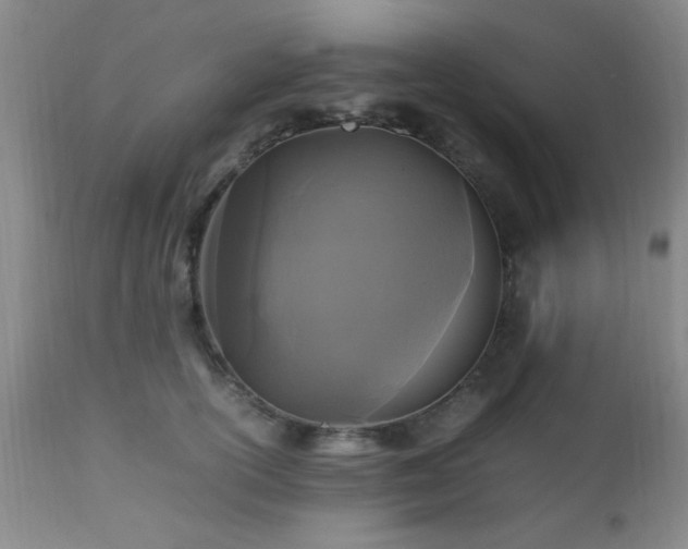 X0000112970754200909031045