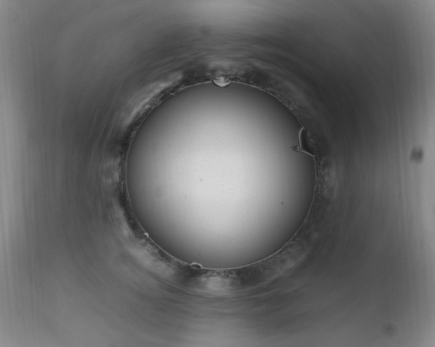 X0000112970756200909031045