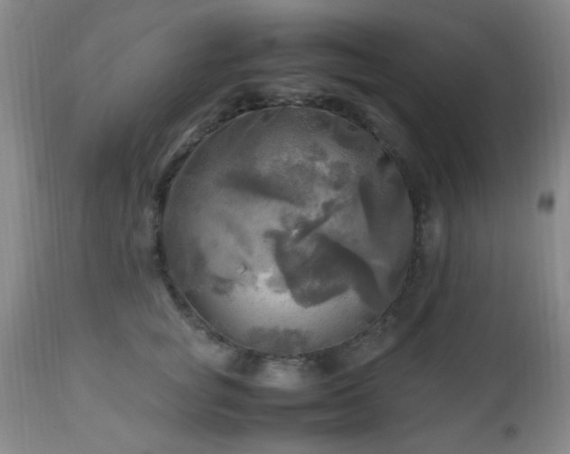 X0000112970757200909031045