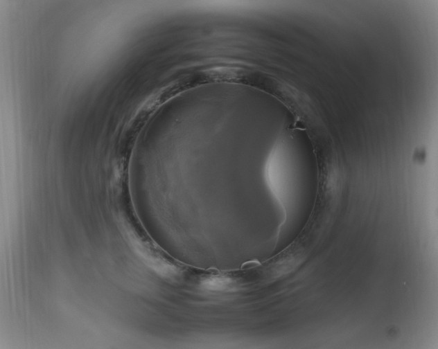 X0000112970759200909031045