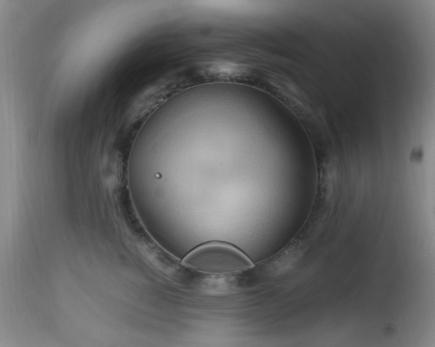 X0000112970760200909031045