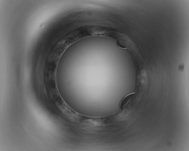 X0000112970763200909031045