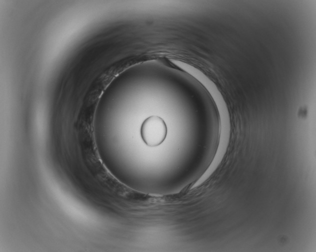 X0000112970764200909031045