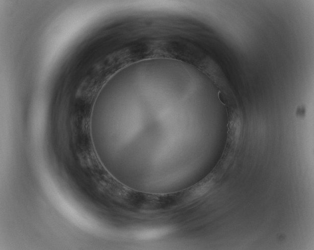 X0000112970765200909031045