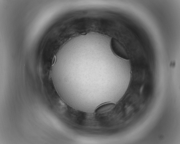 X0000112970766200909031045