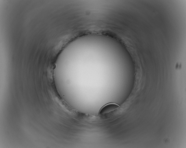 X0000112970768200909031045