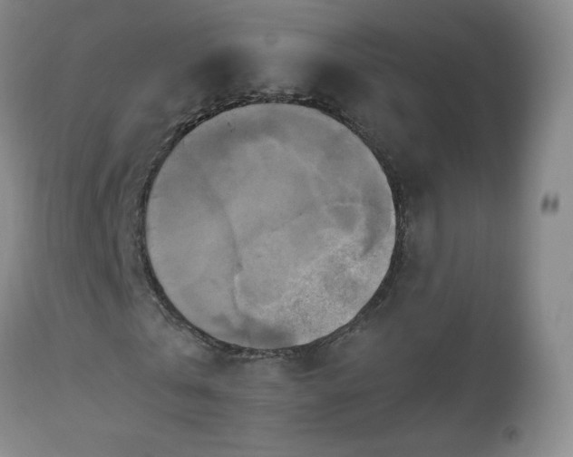 X0000112970769200909031045