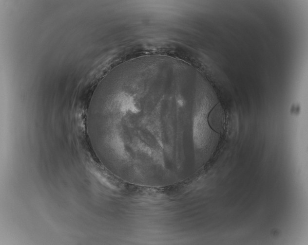 X0000112970770200909031045