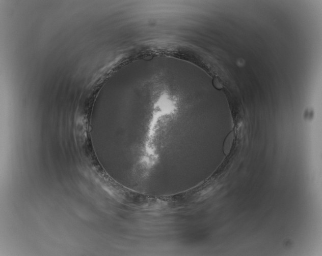 X0000112970772200909031044