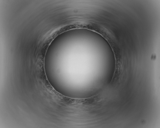 X0000112970773200909031044