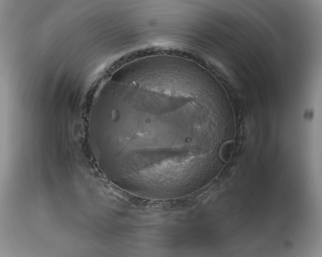 X0000112970776200909031044