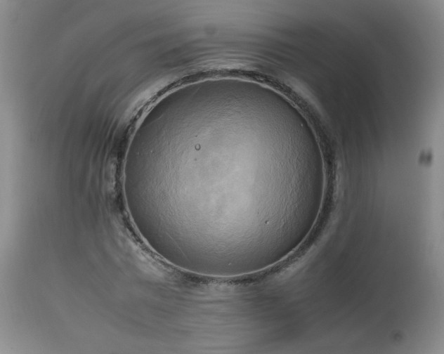 X0000112970777200909031044