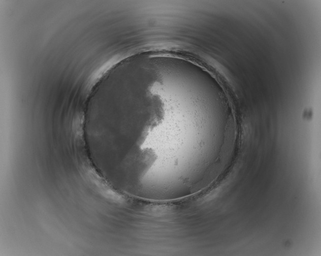 X0000112970778200909031044