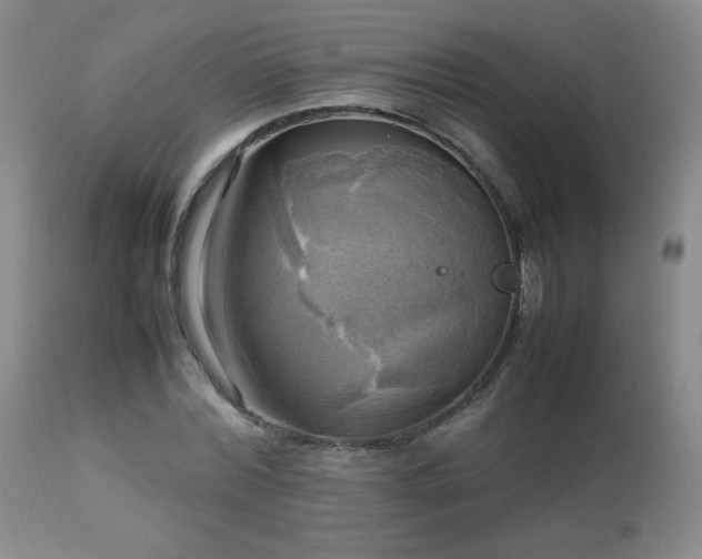 X0000112970780200909031044