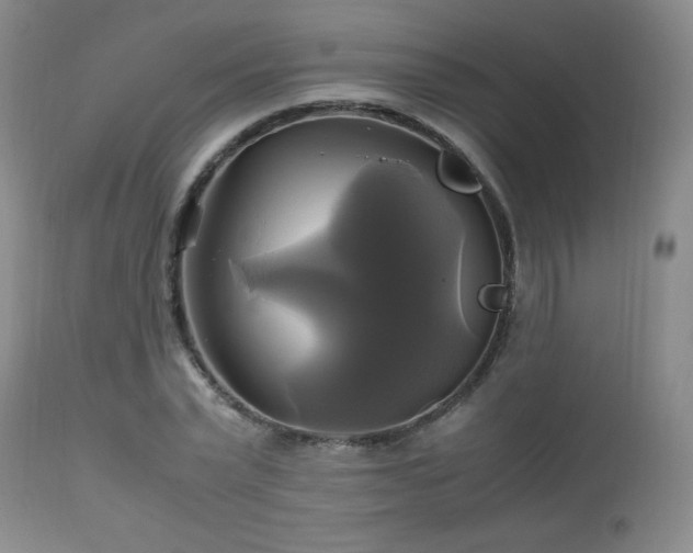 X0000112970783200909031044