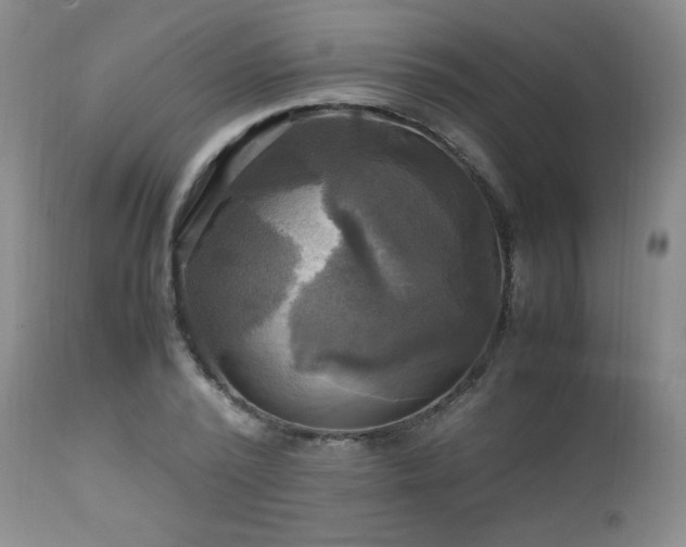 X0000112970784200909031044