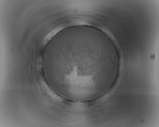 X0000112970785200909031044