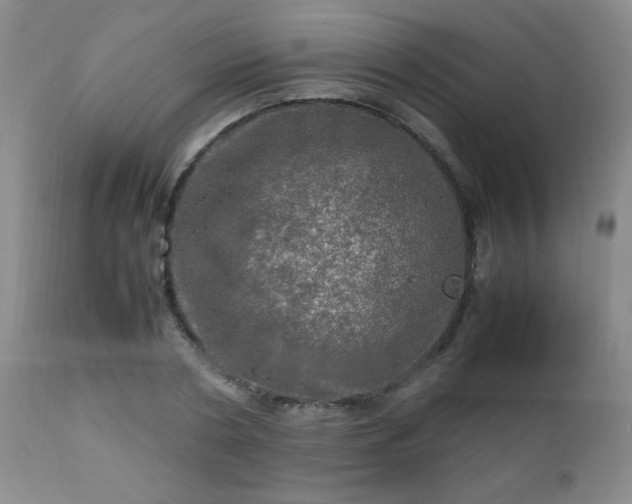 X0000112970786200909031044