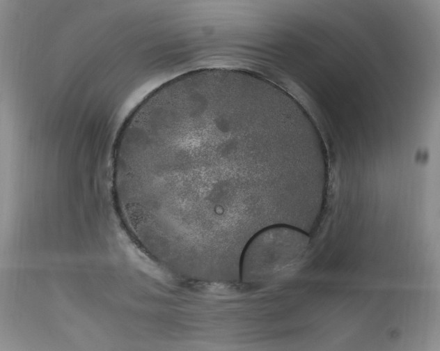 X0000112970787200909031044