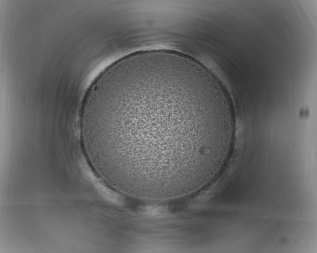 X0000112970789200909031044