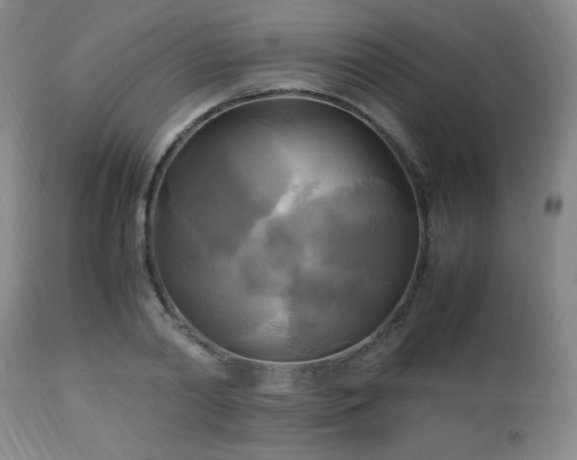 X0000112970790200909031044