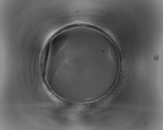 X0000112970791200909031044